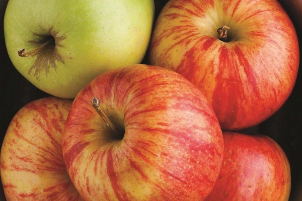 La Quinta Inn & Suites by Wyndham Baltimore N/White Marsh image 23